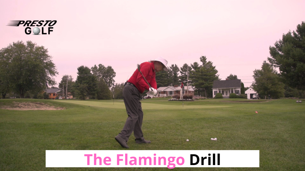 Golf Flamingo Drill