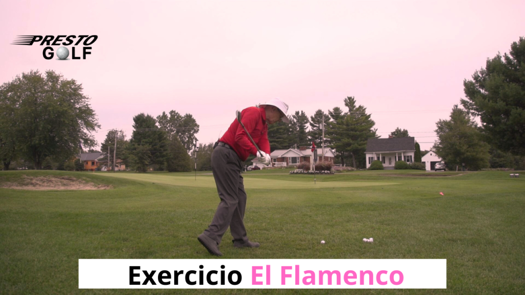 Ejercicio El Flamenco Rosa