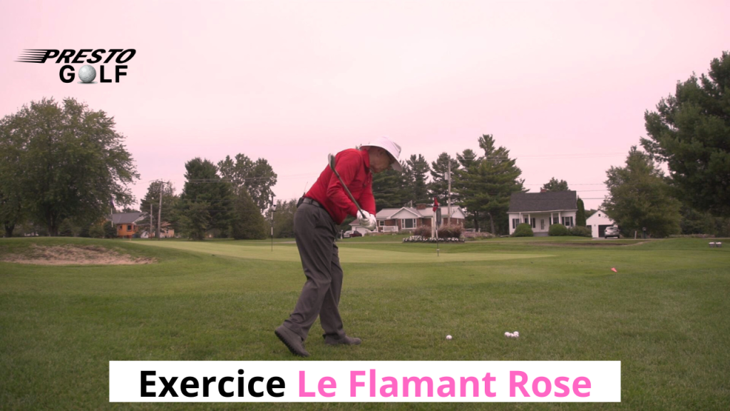 Exercice de golf Le Flamant rose